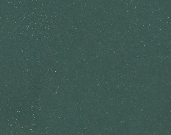 [1001111112_32] Surestep original - 172072 dark kelp